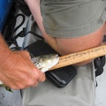 Watauga Float Trip  59  - Over 12 inch Brown Trout